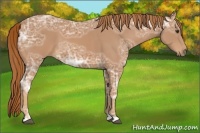 Horse Color:Chestnut Ice 