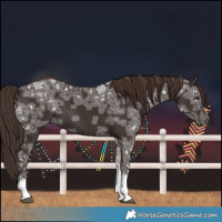Horse Color:Liver Chestnut Ice Tobiano 