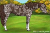 Horse Color:Liver Chestnut Ice Tobiano