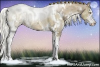 Horse Color:White Spotted Liver Chestnut Ice Pearl Sabino 