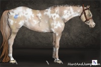 Horse Color:White Spotted Liver Chestnut Ice Pearl 