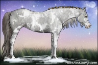 Horse Color:White Spotted Liver Chestnut Ice Sabino