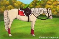 Horse Color:Gold Champagne Dun 