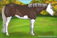 Horse Color:Silver Brown Splash 