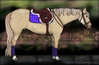 Horse Color:Palomino Roan Dun 