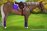 Horse Color:Silver Brown Rabicano 