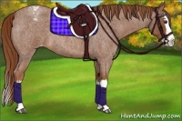 Horse Color:Red Roan Splash Appaloosa 