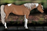 Horse Color:Silver Bay Tobiano 