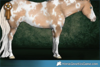 Horse Color:White Spotted Chocolate Palomino Pearl 