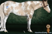Horse Color:White Spotted Chocolate Palomino Pearl 