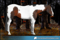 Horse Color:Brown Tobiano 