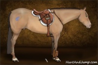 Horse Color:Amber Champagne 