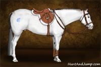 Horse Color:White Spotted Bay Tobiano