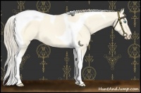 Horse Color:Perlino Dun Tobiano 