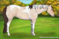 Horse Color:Amber Champagne Ice Roan Tobiano