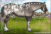 Horse Color:Smoky Blue Onyx Appaloosa