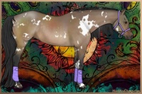 Horse Color:White Spotted Brown Dun Rabicano 