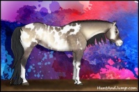 Horse Color:Brown Onyx Tobiano Appaloosa
