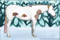 Horse Color:Gray Nacre Chestnut Splash Tobiano