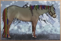 Horse Color:Painted Liver Red Dun Sabino 