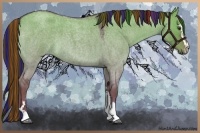 Horse Color:Painted Liver Red Dun Roan Sabino 
