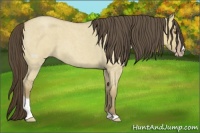 Horse Color:Classic Cream Champagne Roan Dun Sabino
