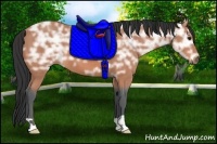 Horse Color:Bay Ice Roan 