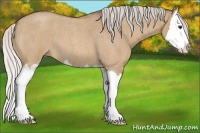 Horse Color:Silver Bay Roan Dun Splash
