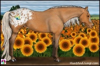 Horse Color:Silver Bay Appaloosa 