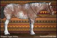 Horse Color:White Spotted Bay Ice 