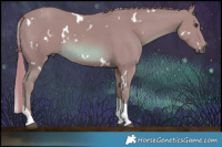 Horse Color:Watercolor White Spotted Chestnut Tobiano 