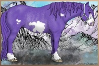 Horse Color:Watercolor Black Frame Rabicano