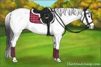 Horse Color:Black Splash Tobiano Rabicano