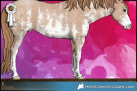 Horse Color:Black Pearl Sabino