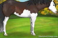 Horse Color:Brown Splash 