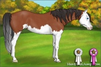 Horse Color:Bay Roan Splash 