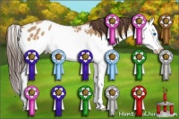 Horse Color:Amber Champagne Splash Blanket 