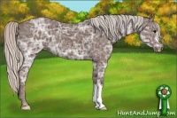 Horse Color:Silver Black Ice 