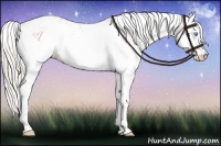 Horse Color:White Spotted Chocolate Silver Buckskin Pearl 