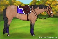 Horse Color:Bay Roan 