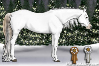 Horse Color:Buckskin Appaloosa