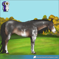 Horse Color:White Spotted Liver Chestnut 