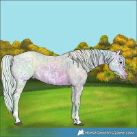 Horse Color:Watercolor Silver Brown Ice and Watercolor Silver Brown Ice