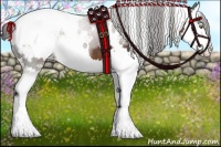Horse Color:White Spotted Liver Chestnut Splash Appaloosa 