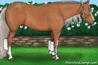 Horse Color:White Spotted Silver Bay 
