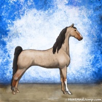 Horse Color:Brown Roan Dun 