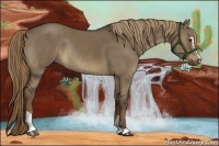 Horse Color:Liver Red Dun Sabino Rabicano