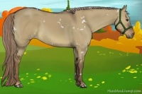 Horse Color:White Spotted Liver Red Dun Rabicano 