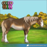Horse Color:White Spotted Chocolate Palomino Mushroom