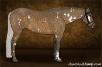 Horse Color:White Spotted Silver Buckskin 